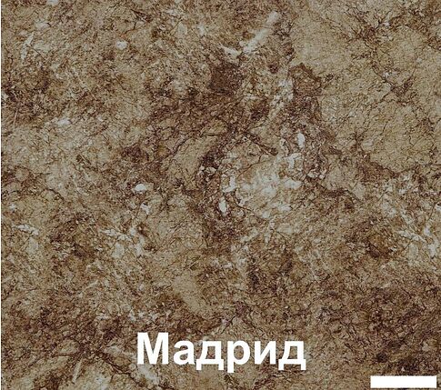 Кухня Кортекс-мебель Корнелия Экстра 1.5м (белый/береза/мадрид)