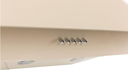 Кухонная вытяжка Oasis NS-60I (FR)