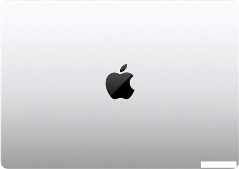 Ноутбук Apple Macbook Pro 14.2" M4 2024 MW2X3