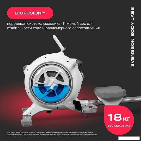 Гребной тренажер Svensson Body Labs Wheelo