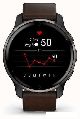 Умные часы Garmin Venu 2 Plus (черный/коричневый)