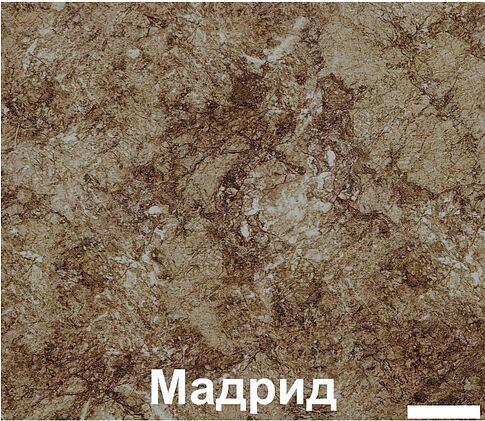 Кухня Кортекс-мебель Корнелия Лира 2.4м (крем/оникс/мадрид)