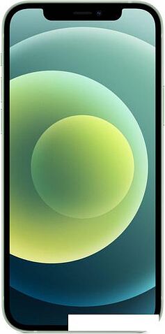 Смартфон Apple iPhone 12 256GB (зеленый)