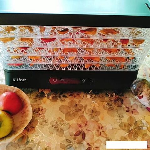 Сушилка для овощей и фруктов Kitfort KT-1948
