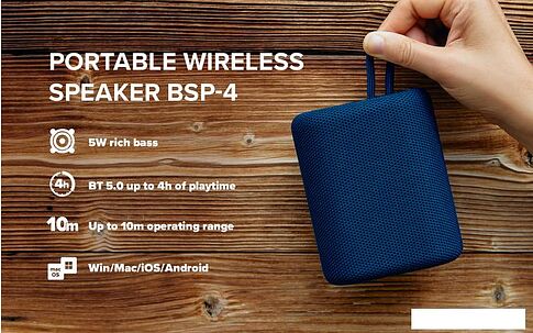 Беспроводная колонка Canyon CNE-CBTSP4DG