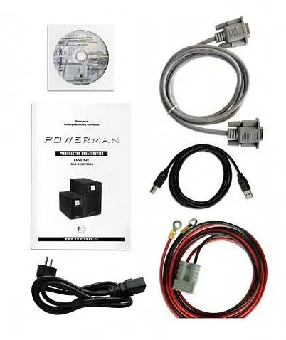 Источник бесперебойного питания Powerman Online 1000 Plus