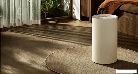 Осушитель воздуха Xiaomi Smart Dehumidifier Lite DM-CS13BFA5B (евровилка)