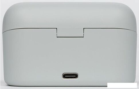 Наушники Nokia Power Earbuds BH-605 (серый)