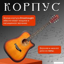 Акустическая гитара ROKSO FT-221-3TS