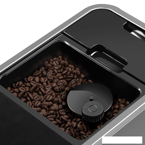 Эспрессо кофемашина Garlyn L1000