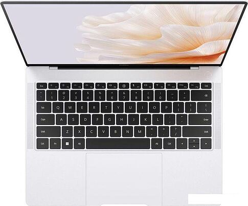 Ноутбук Huawei MateBook X Pro 2023 MorganG-W7611TM 53013SJT