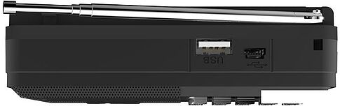 Радиоприемник Ritmix RPR-001 (черный)