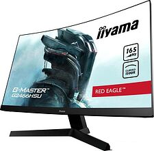 Монитор Iiyama G-Master G2466HSU-B1