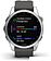 Умные часы Garmin Fenix 7S 42 мм (серебристый/графитовый)