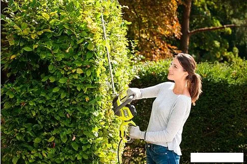 Кусторез Ryobi RHT5655RS