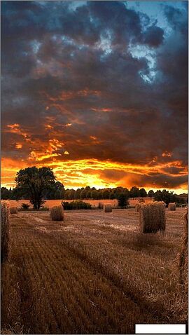 Информационная панель Samsung VM46B-U LH46VMBUBGBXCI