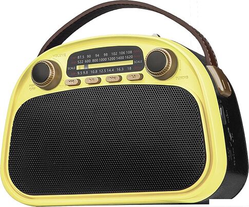 Радиоприемник Ritmix RPR-040 (лимонный)