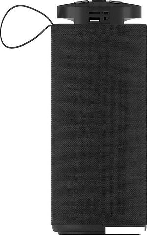 Беспроводная колонка Soundmax SM-PS5015B (черный)