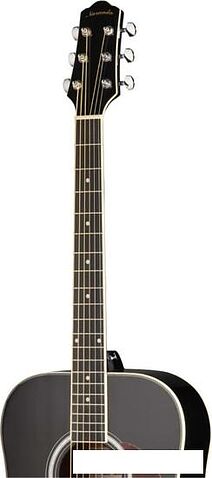 Акустическая гитара Naranda DG220BK