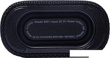 Беспроводная колонка Microlab BP21 (черный) Беспроводная колонка Microlab BP21 (черный)