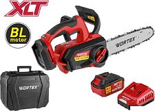 Аккумуляторная пила Wortex CEC 2518-3 ALL1 XLT Set 2325004 (с 1-им АКБ, кейс) Аккумуляторная пила Wortex CEC 2518-3 ALL1 XLT Set 2325004 (с 1-им АКБ, кейс)