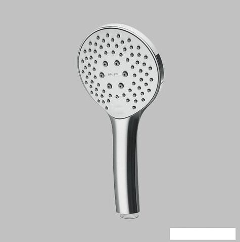 Душевая лейка AM.PM Gem F0290100