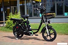 Электровелосипед Terax DVINA LITE NS011