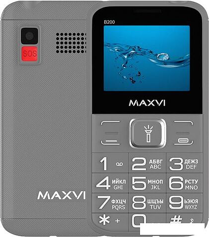 Кнопочный телефон Maxvi B200 (серый)