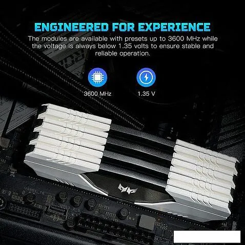 Оперативная память Acer Predator Talos 2x8ГБ DDR4 3000 МГц BL.9BWWR.211