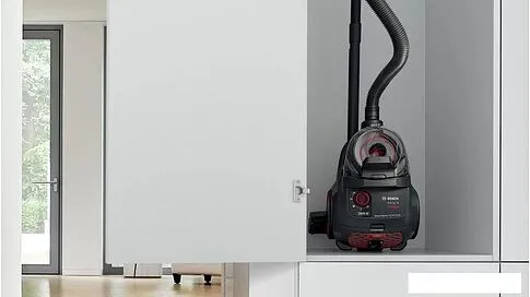 Пылесос Bosch ProPower BGS21WPOW