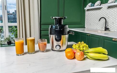 Соковыжималка Garlyn J-100