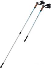 Палки для скандинавской ходьбы Berger Nimbus 77-135 (серебристый/голубой) Палки для скандинавской ходьбы Berger Nimbus 77-135 (серебристый/голубой)
