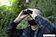 Бинокль Meade TravelView 8x25
