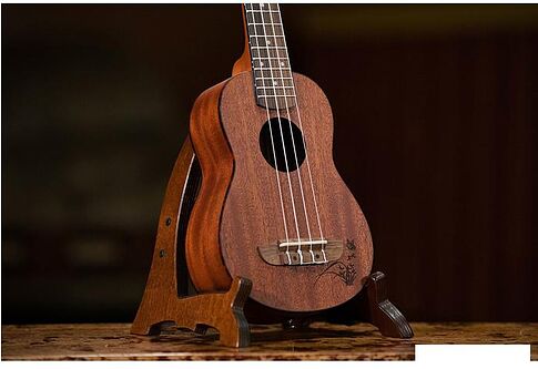 Укулеле Ortega Bonfire RU5MM-SO