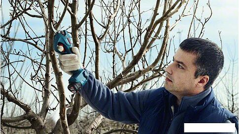 Секатор Bosch Pro Pruner Professional 06019K1021 (с 2-мя АКБ)