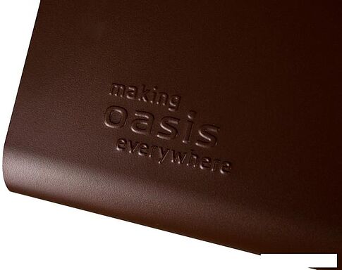Кухонная вытяжка Oasis UP-60C (P)