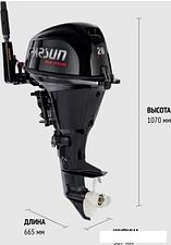 Лодочный мотор Parsun F 9.9 ABMS-EFI PRO