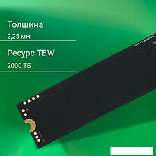 SSD Digma Meta M6 2TB DGSM4002TM63T