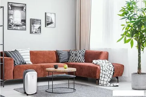 Осушитель воздуха Funai Neko S RAD-N10F3E