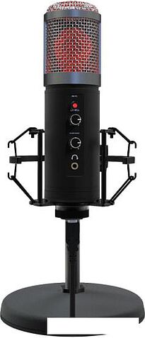 Микрофон Ritmix RDM-260 USB Eloquence