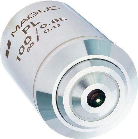 Magus SF100 DRY 100х/0.80 Plan Pol 83452