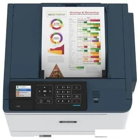 Принтер Xerox C310