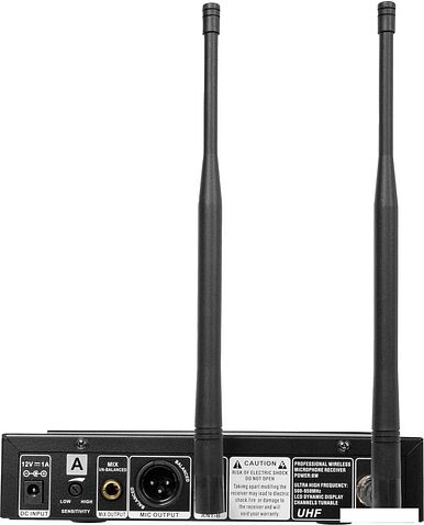 Радиосистема Rockdale Pro Stage 200 Head