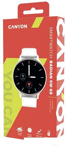 Умные часы Canyon Badian CNS-SW68SS (серебристый/белый)