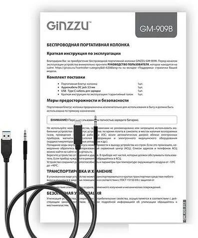 Беспроводная колонка Ginzzu GM-909B