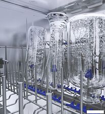 Встраиваемая посудомоечная машина Бирюса DWB-614/5