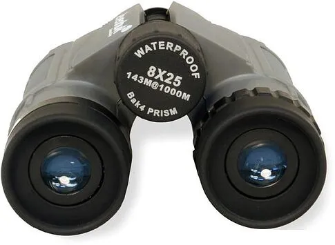 Бинокль Levenhuk Karma Plus 8x25 [67708]