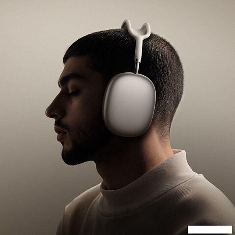 Наушники Hoco W65 Plus (серебристый)