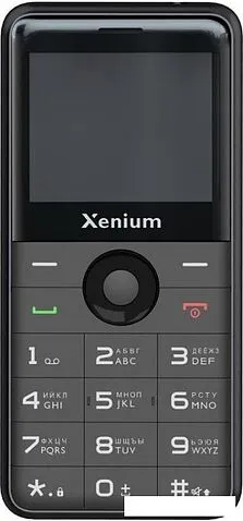 Кнопочный телефон Xenium X700 (черный)