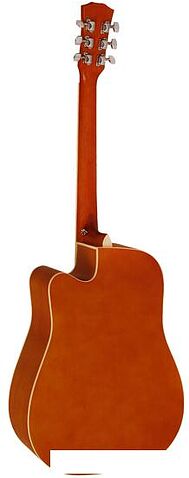 Акустическая гитара Elitaro E4120 N